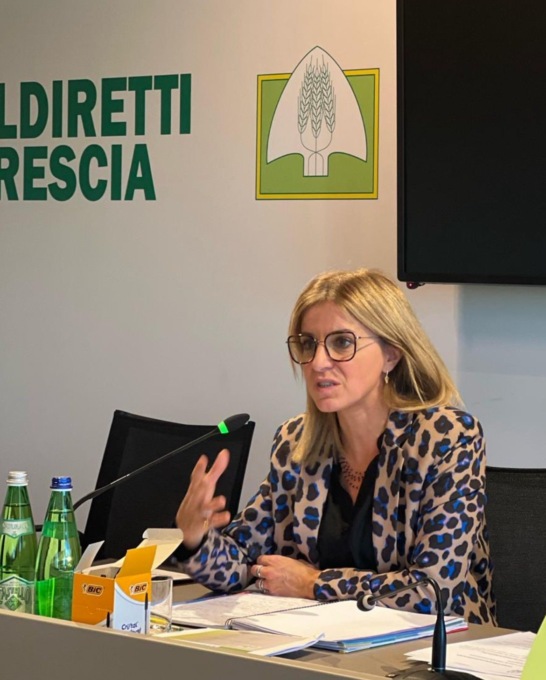 Carne bovina: “Ad ogni allevatore deve essere riconosciuto il lavoro svolto”