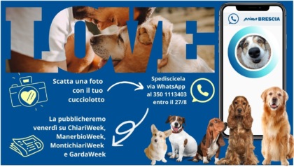 Oggi è la Giornata Mondiale del Cane: mandaci la foto del tuo fedelissimo amico