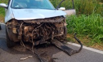 Finisce fuori strada a Orzinuovi, arriva l'elisoccorso