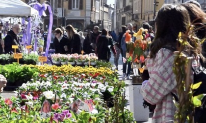 Brixia Florum torna per la 12esima edizione