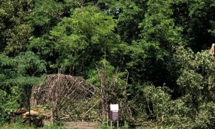 Crollato un albero sul Ponte della Poesia di Padernello