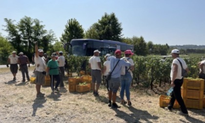 Fai Cisl Brescia incontra i lavoratori impegnati nella vendemmia