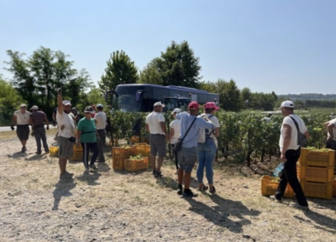 Fai Cisl Brescia incontra i lavoratori impegnati nella vendemmia