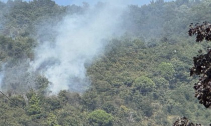 Incendio sul versante sud del Maddalena: confermata l'origine dolosa