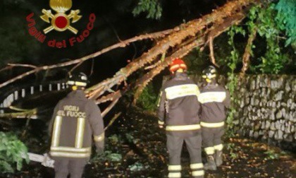 Vezza d'Oglio: doppio intervento nella serata di domenica per i Vigili del Fuoco