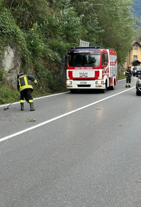 Alberi caduti sulla sede stradale in Valle Camonica: l’intervento dei Vigili del Fuoco