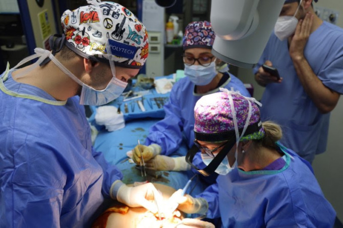 Chirurgia estetica: a Salò da giovedì a domenica il gotha della chirurgia plastica internazionale