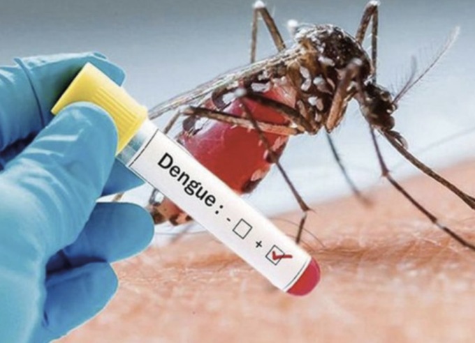 Dengue, caso sospetto in via del Sarto a Brescia: domani scatta la disnfestazione