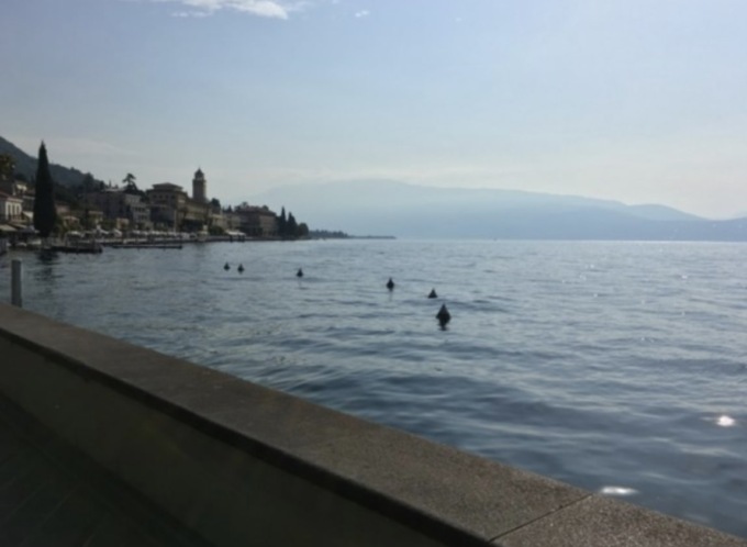 Livelli lacustri, la Comunità del Garda: “Situazione molto buona”