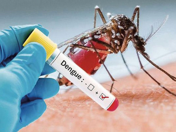 Caso di Dengue a San Paolo, oggi la disinfestazione