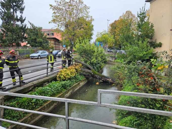 Crolla un albero a Chiari, strada chiusa per la rimozione