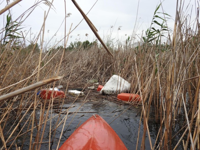 “La Riserva naturale non è un parco giochi”: il grido degli ambientalisti