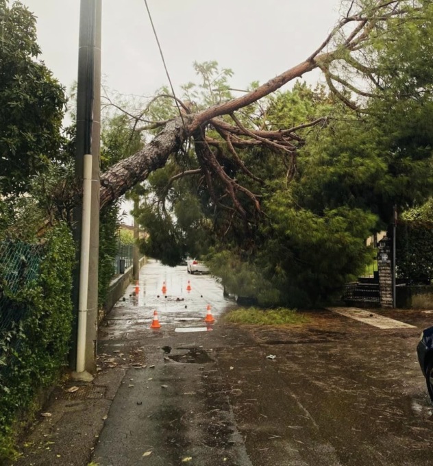 Crolla un albero e si abbatte sull’impianto della pubblica energia elettrica, chiusa via Busi
