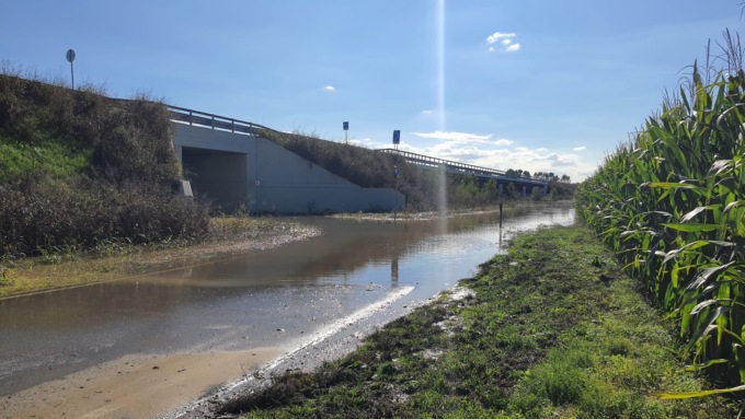 Esonda il fiume Oglio: tre i punti attenzionati a Pontevico