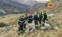 I Vigili del Fuoco traggono in salvo una capra in difficoltà tra Monte Matto e Monte Maniva