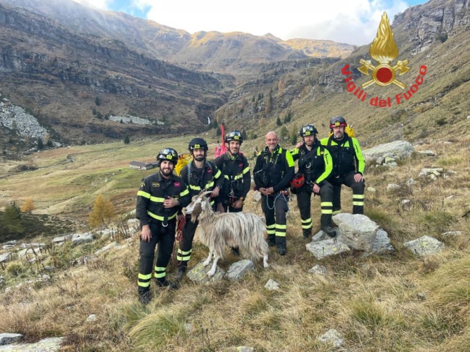 I Vigili del Fuoco traggono in salvo una capra in difficoltà tra Monte Matto e Monte Maniva