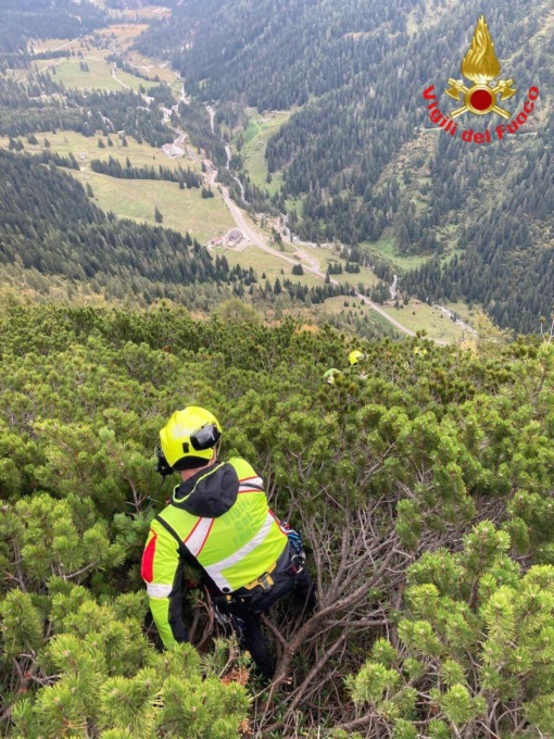 Lea e Trento: i Vigili del Fuoco del Comando di Brescia recuperano i due cani