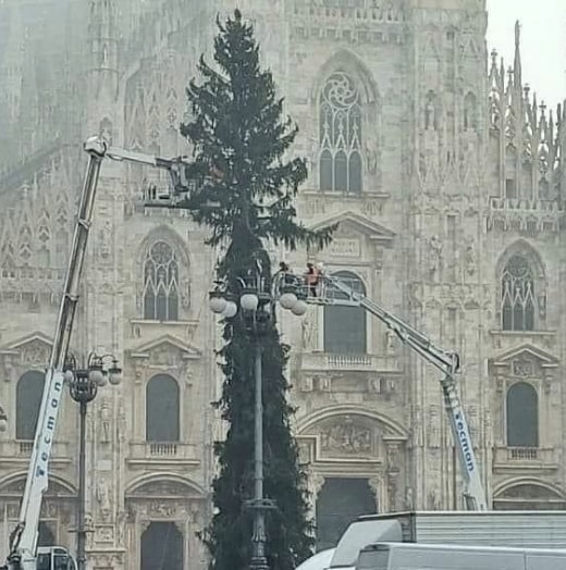 Arriva da Ponte di Legno l’albero di Natale da oltre 42 metri in piazza Duomo a Milano