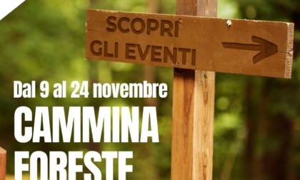 "Cammina Foreste Urbane 2024": sabato appuntamento a Brescia