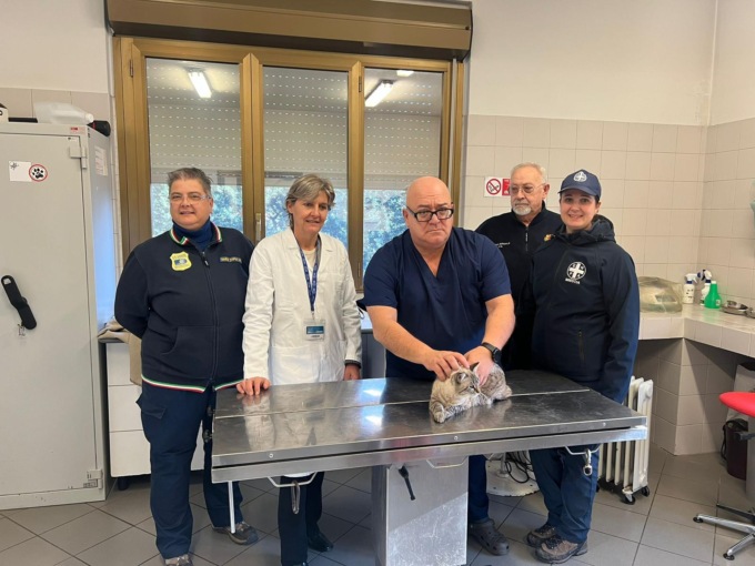 ChipDay: grande successo per l’iniziativa al Canile Sanitario di Brescia