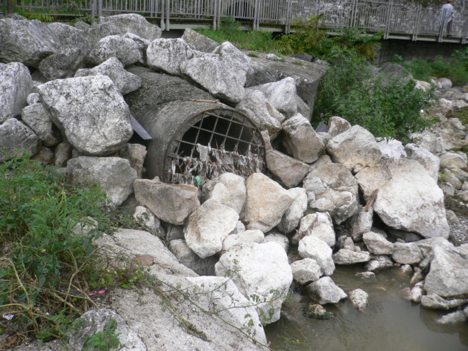 Scarichi a lago: rilevata la presenza di batteri migliaia di volte superiori ai limiti
