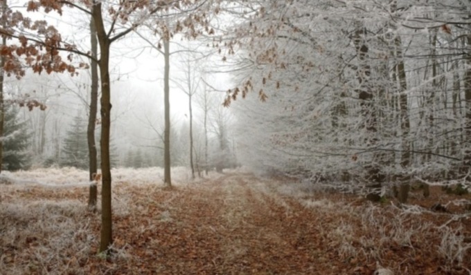 Freddo invernale in arrivo anche nel Bresciano, attesa pioggia nel fine settimana