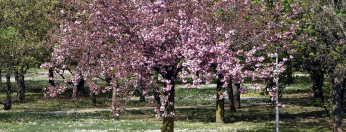 Parco Pescheto: conclusi i lavori per la realizzazione del ponte pedonale