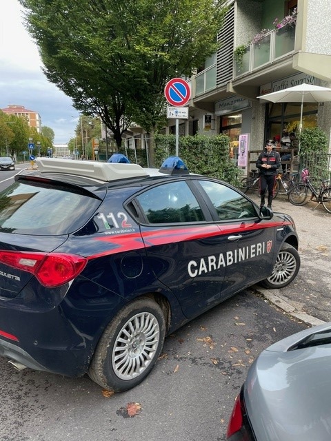 Ristoratore nasconde una tartaruga priva di denuncia in cucina: sanzione da 3mila euro