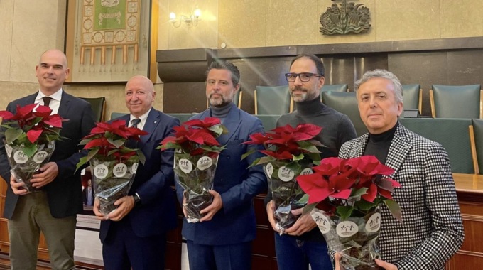 Stelle di Natale Ail in 204 piazze della provincia di Brescia: la presentazione in Broletto