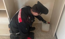 Lancia molotov contro i vicini con cui aveva litigato: 34enne arrestato dai carabinieri a Darfo Boario Terme