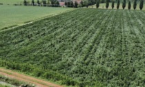 Agricoltura: da Regione nel Bresciano fondi per oltre 20milioni di euro