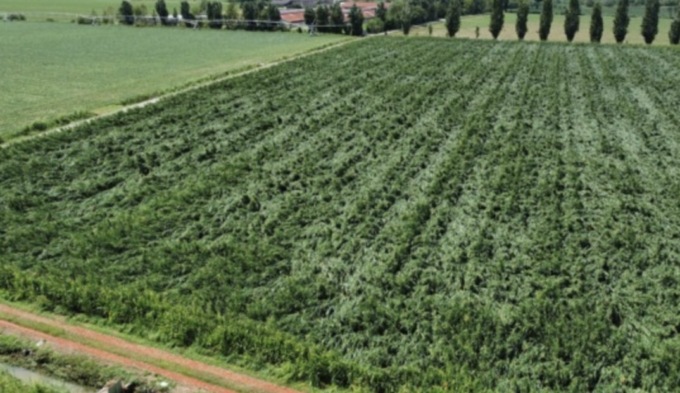 Agricoltura: da Regione nel Bresciano fondi per oltre 20milioni di euro