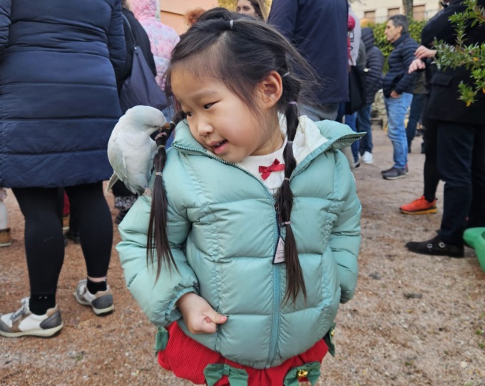 Festa di Natale all’asilo di Gardone Riviera, ospite speciale il piccolo pappagallo Aramis