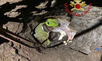 In corso le ricerche del cane Full finito in una grotta, soccorritori a 12 metri di profondità