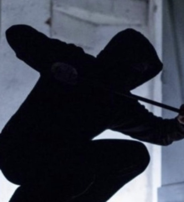 Ladro si arrampica sul muro del condominio, spaventato dal vicino si butta nei cespugli