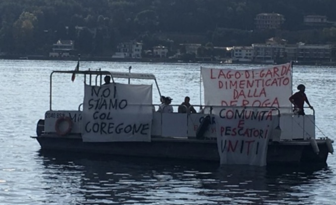 Pescato 2024 nel Garda: cala vertiginosamente la quantità di coregone