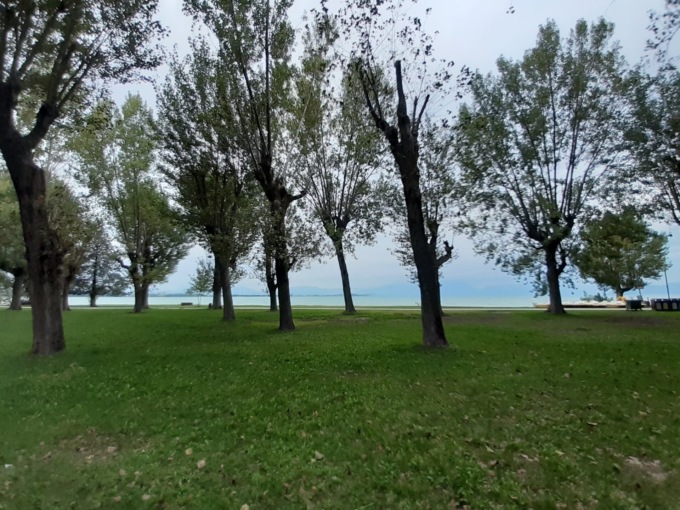 Addio ad un centinaio di pioppi malati a Punta Gró