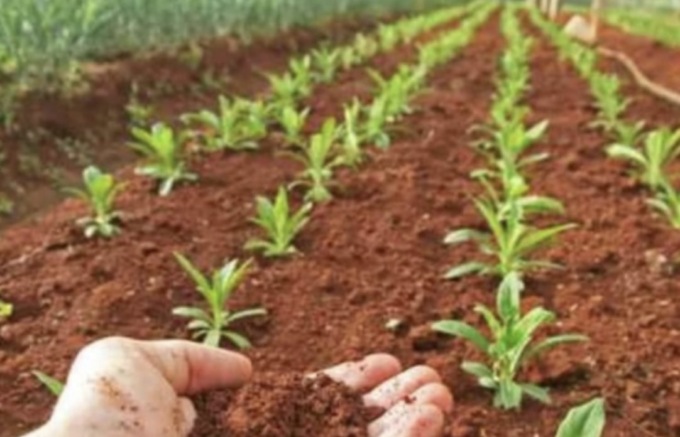A Brescia nuova mobilitazione degli Agricoltori Italiani