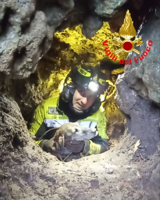 Bloccato in una grotta, questa volta per il cane c’è il lieto fine