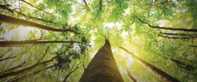 Piano aria e clima: la presentazione al Teatro Borsoni