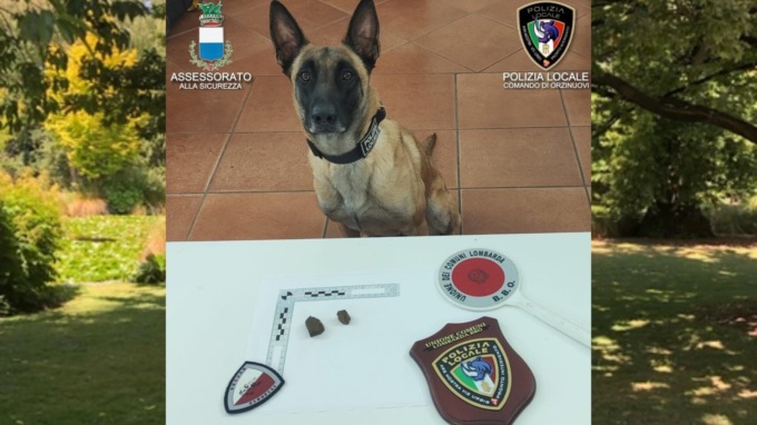 Tess, il cane poliziotto fiuta il fumo e incastra un ragazzo al parco