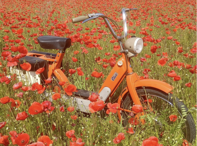 Fiocco azzurro: è nato il «Ciao Club»