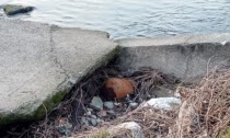 Ordigno sospetto vicino al fiume a Roccafranca: era un falso allarme