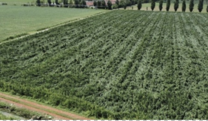 Confagricoltura Brescia: “Agricoltura protagonista”, l’assemblea generale al Brixia Forum