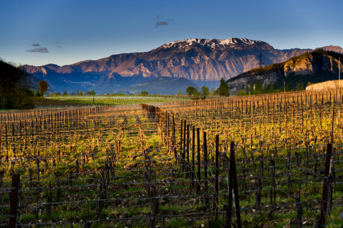 Tutti e dieci i Comuni sono fuori dalla Strada del Vino