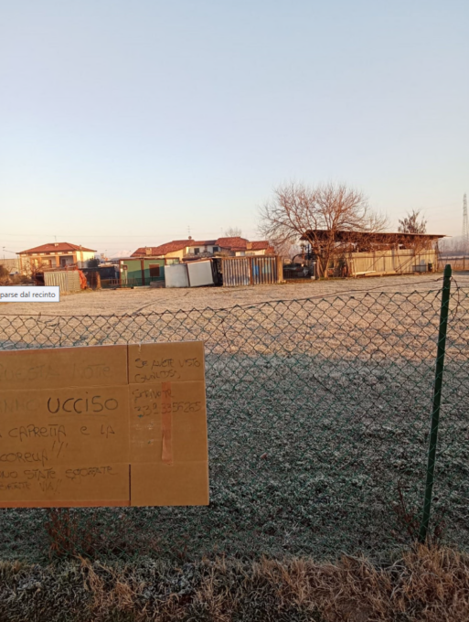 Dal recinto scompaiono una capra e una pecorella: «Sono state uccise»