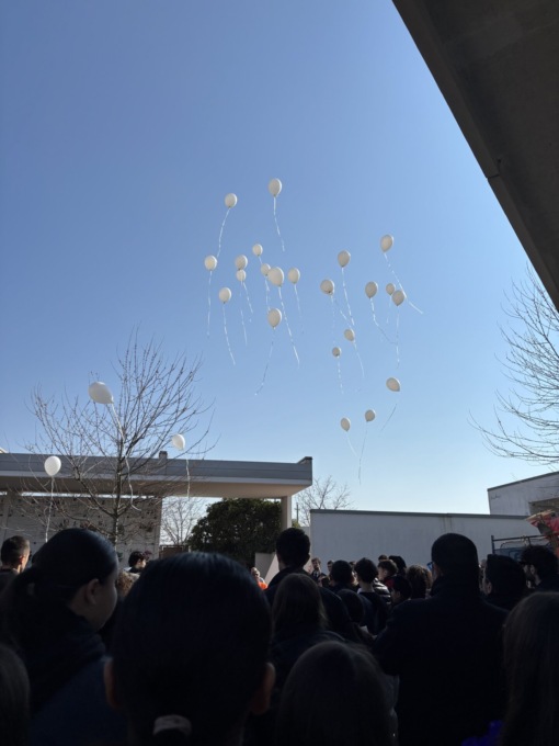 Gherald si è spento a soli 14 anni: dal dolore nasce una raccolta fondi