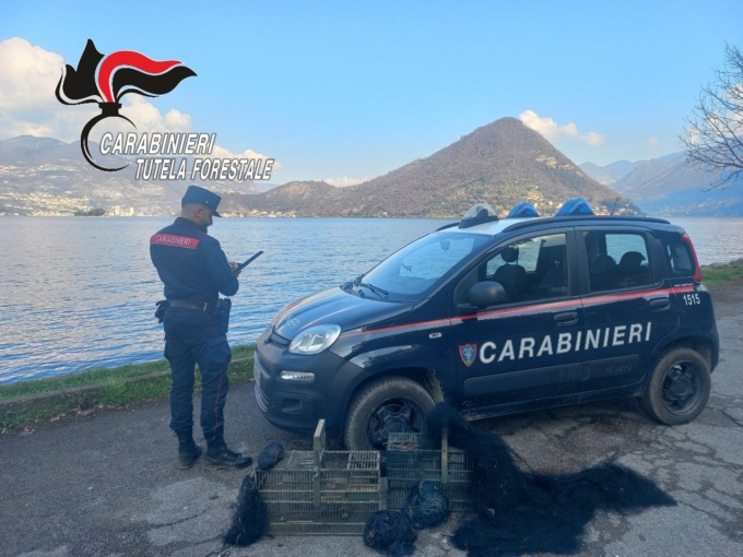 Bracconiere nei guai: sequestrati 11 reti da uccellagione e 40 uccelli