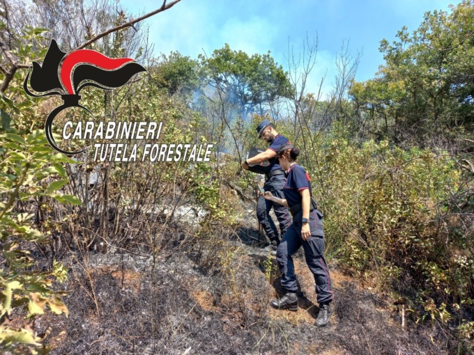Carabinieri Forestali in prima linea per la Giornata internazionale delle foreste