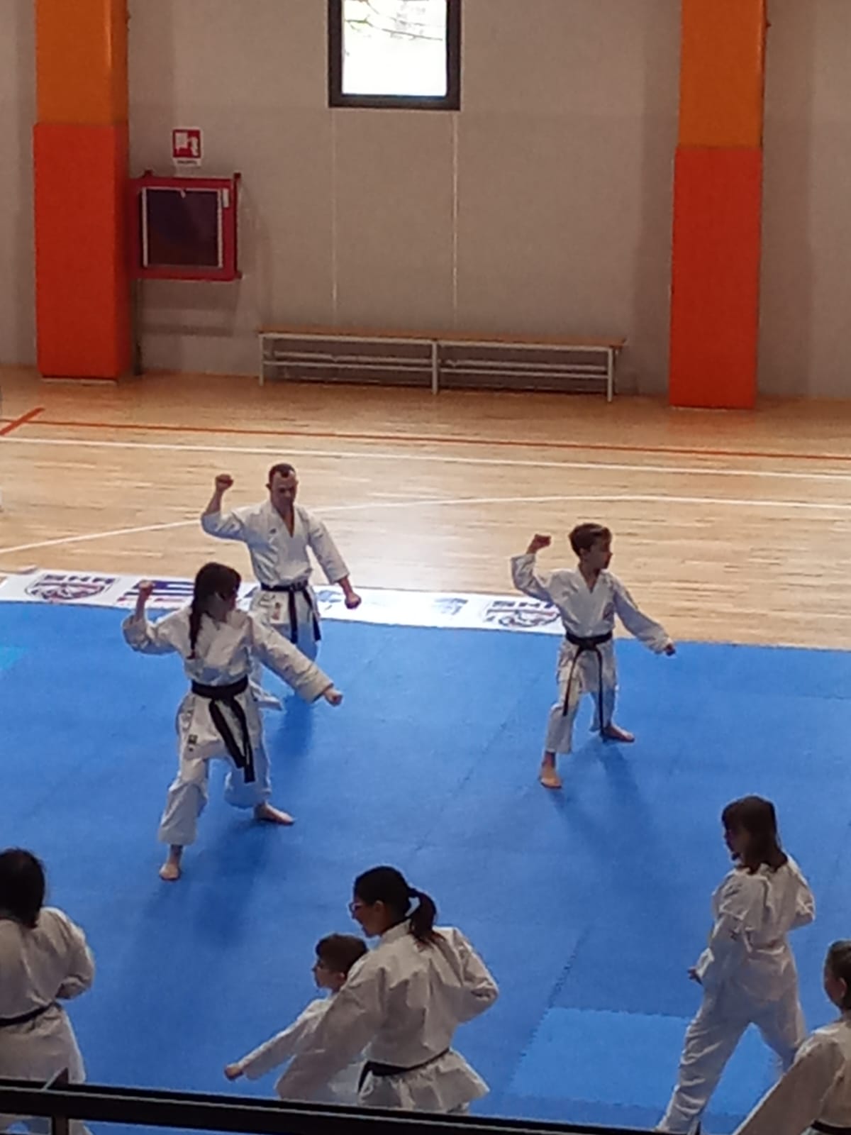 IMG-20250316-WA0031